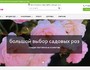 Запуск нового сайта